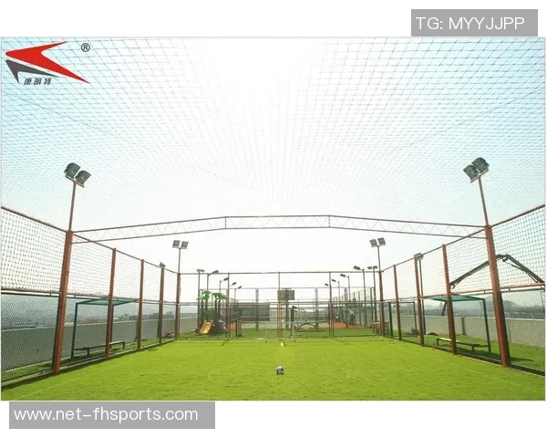 网式足球的魅力与发展探讨:如何在新时代中重塑这项运动的未来